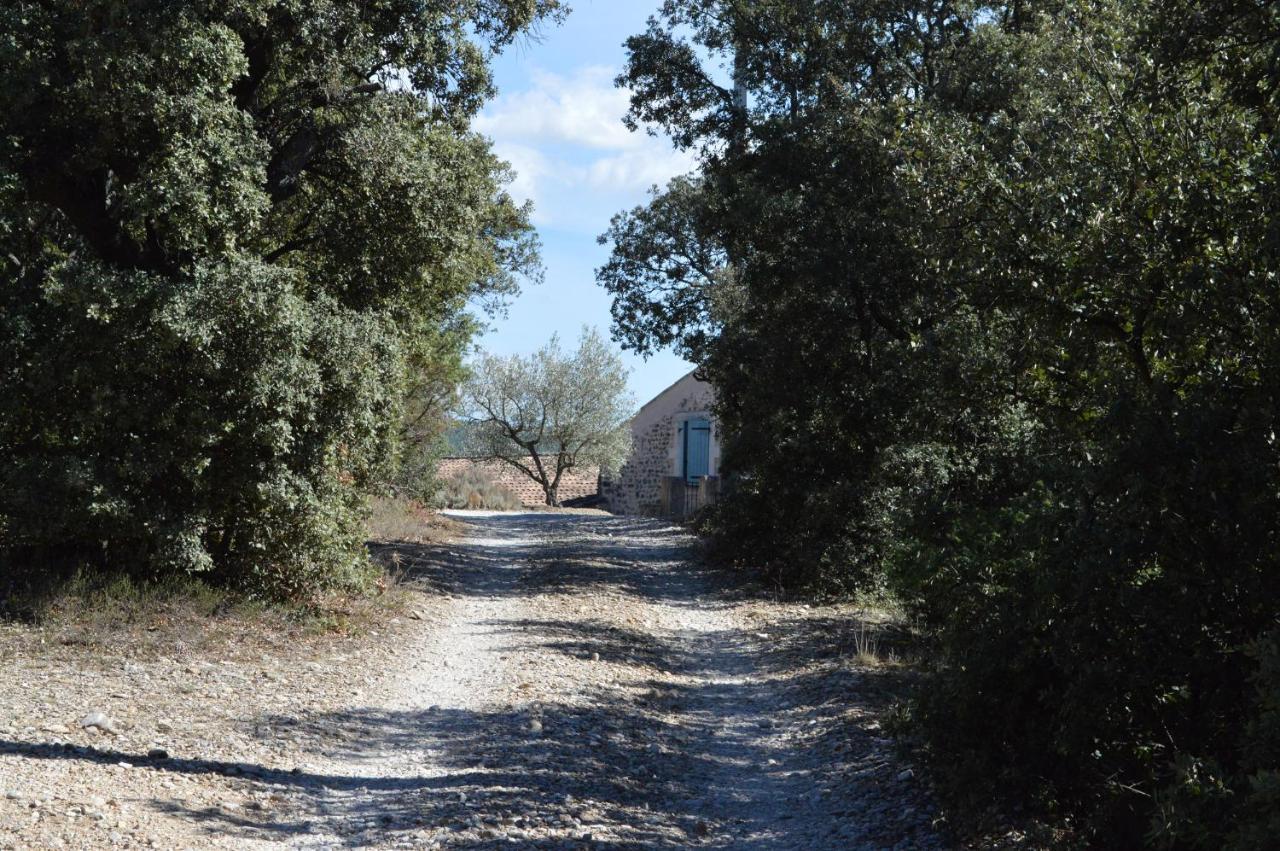 Ferme de Palumiane Bed & Breakfast Visan Exterior foto