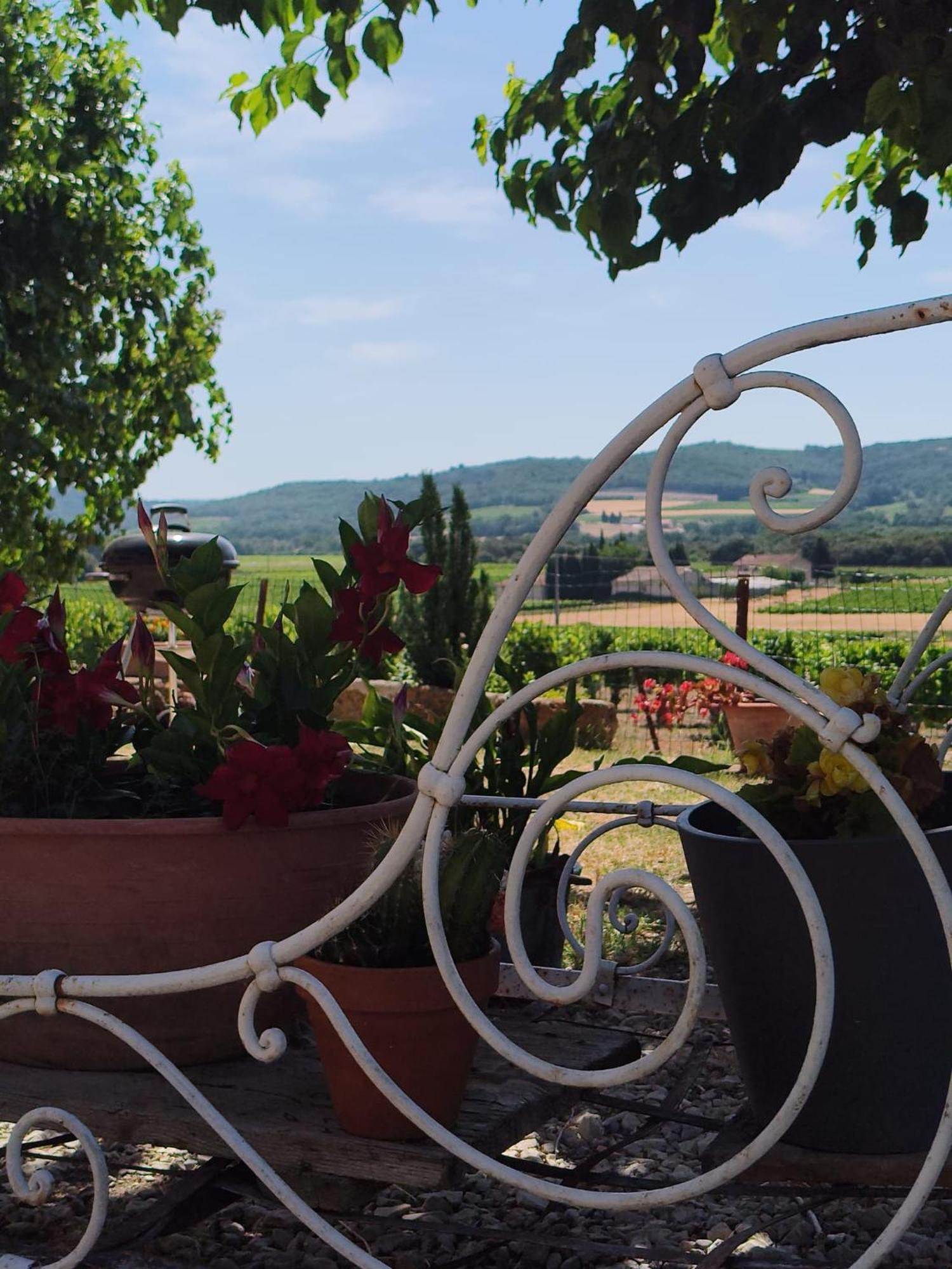Ferme de Palumiane Bed & Breakfast Visan Exterior foto